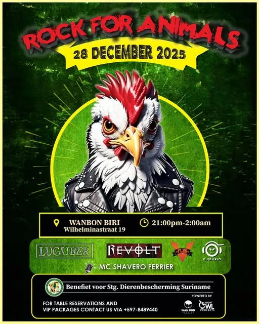 Flyer of Rock for Animals at Wan Bon Biri
